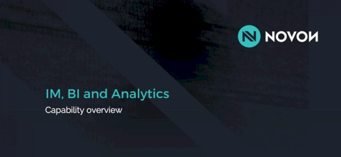 im,-bi-and-analytics.-capability-overview